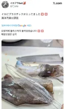 심각한 해양 오염의 증거.jpg