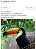 여초에 등장한 진짜 남미새