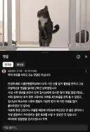 아니 유툽 고양이영상 댓글을 보는데 ㅋㅋㅋㅋㅋㅋㅋ