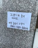상남자식 캣맘 대처법
