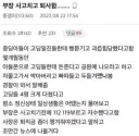 부장 사고치고 퇴사함........