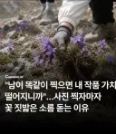 관광지에서 자주 보인다는 싸이코패스