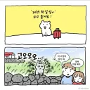 제주도 한 달 살기 하는 고양이.manhwa