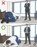 요즘 세대는 잘 모른다는 직장 상사에게 사과하는 옳은 방법.jpg