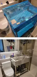 인테리어를 포기하고 실용성을 선택한 견주