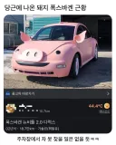 당근에 올라온 폭스바겐