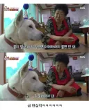 할미의 조언