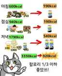 직장인의 다이어트 법