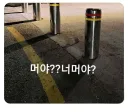 분명 고양이가 식빵 굽고 있었는데,,