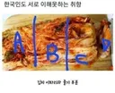 한국인도 서로 이해못하는 취향
