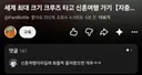 유튜버 빠니보틀 여자친구랑 신혼여행 컨덴츠