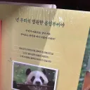 용인 공식 보지.jpg