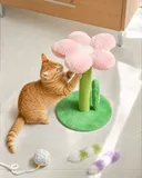 각잡고 고양이 용품 만들어내고 있다는 다이소