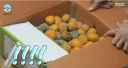 (기안84) 곰팡이 담금주 3년후 후기.JPG