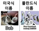 미국식 이름 vs 폴란드식 이름
