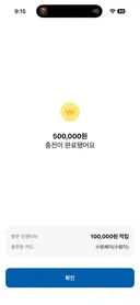 오 수원페이 지역화폐 성공