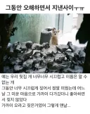 그동안 오해하면서 지낸 사이.jpg