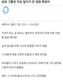 삼성 그룹장 이상 달다가 온 임원 특.jpg