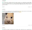 한요일) 사람 생각하는건 다 똑같구만 ㅋㅋㅋㅋ
