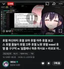 버튜버) 캣파이트👊미야오🐈