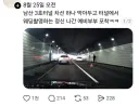 어서와 숲속 친구들