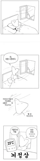 여름 뇌손상 짤 근황