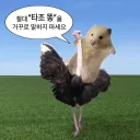 "절대로 거꾸로 말하면 안되는 단어"
