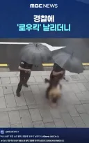 경찰과 돌아이가 찍는 시트콤