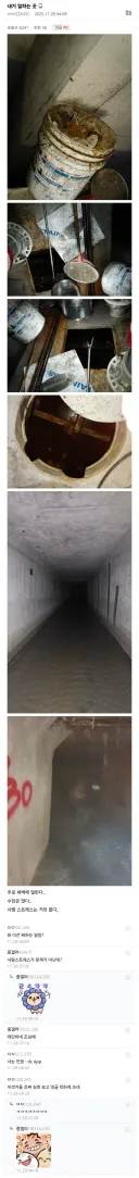 진짜 앞에선 숙연해짐.jpe