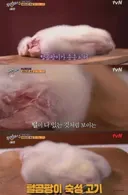 호불호 고기.jpg