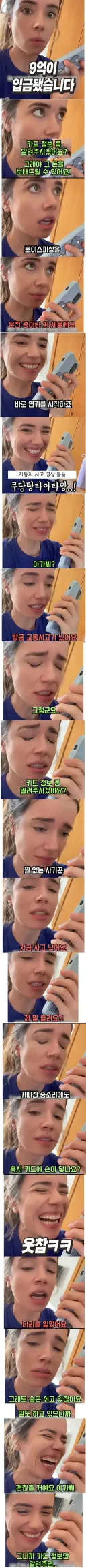 아무튼 돈내놔 피싱