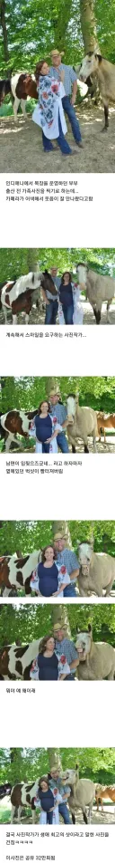사진 찍는 부부에게 느닷없이 다가온 말 한 마리.jpg