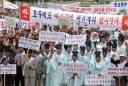 짐승퍼리 문화가 대한민국에 유행하게된 시기