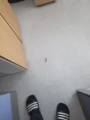 사무실에 도마뱀 출현!!!!!