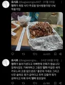 엄마가 되살아남 ㄷㄷㄷㄷ