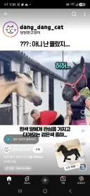 " 거기 예쁜 아가씨 나랑..."