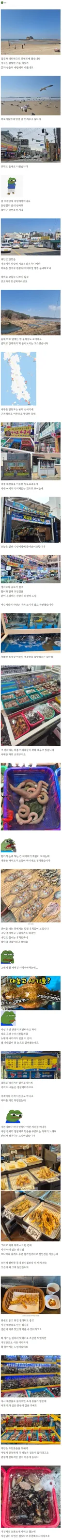 돈찐 블로그 안면도 숭어회와 자연산 섭