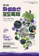 주말 혜자 지역축제