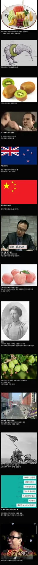 한 과일의 복잡한 개명 역사.jpg