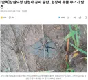 강원도청 신청사 공사 중단..현장서 유물 무더기 발견