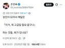 성인이 되어서 깨달은 '이거 꼭 고급일 필요없구나' 하는 것들, 뭐가 있나요?