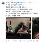 저주 인형을 만들어버린 고양이