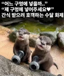 구멍에 넣어달라고 입벌리고 애원하는 암컷