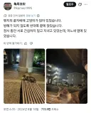 모르는 고양이랑 벤치에 앉아 있었다