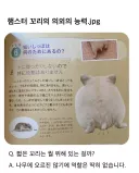 햄스터 꼬리의 의외 능력.jpg