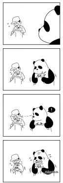 부모없이 인간 사육사에게 자란 팬더.gif