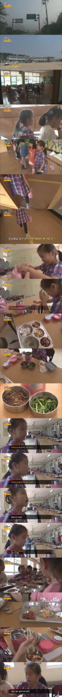 채식주의자 9살 어린이