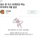 포켓몬 덕후 살짝 열받는 글