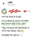 식사시간마다 매일 찾아와 창문 두드리는 고양이