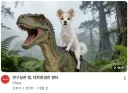 이 논리 반박 가능?